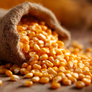 Natural Yellow Maize