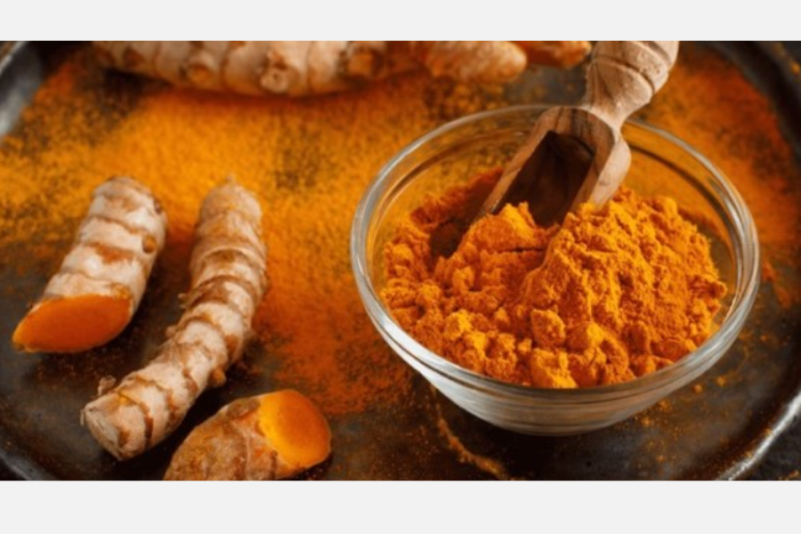 Indian Cuisine