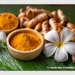 Basmat (Vasmat) Turmeric – Premium GI Tagged variety from Maharashtra